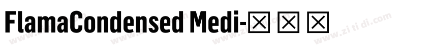 FlamaCondensed Medi字体转换
